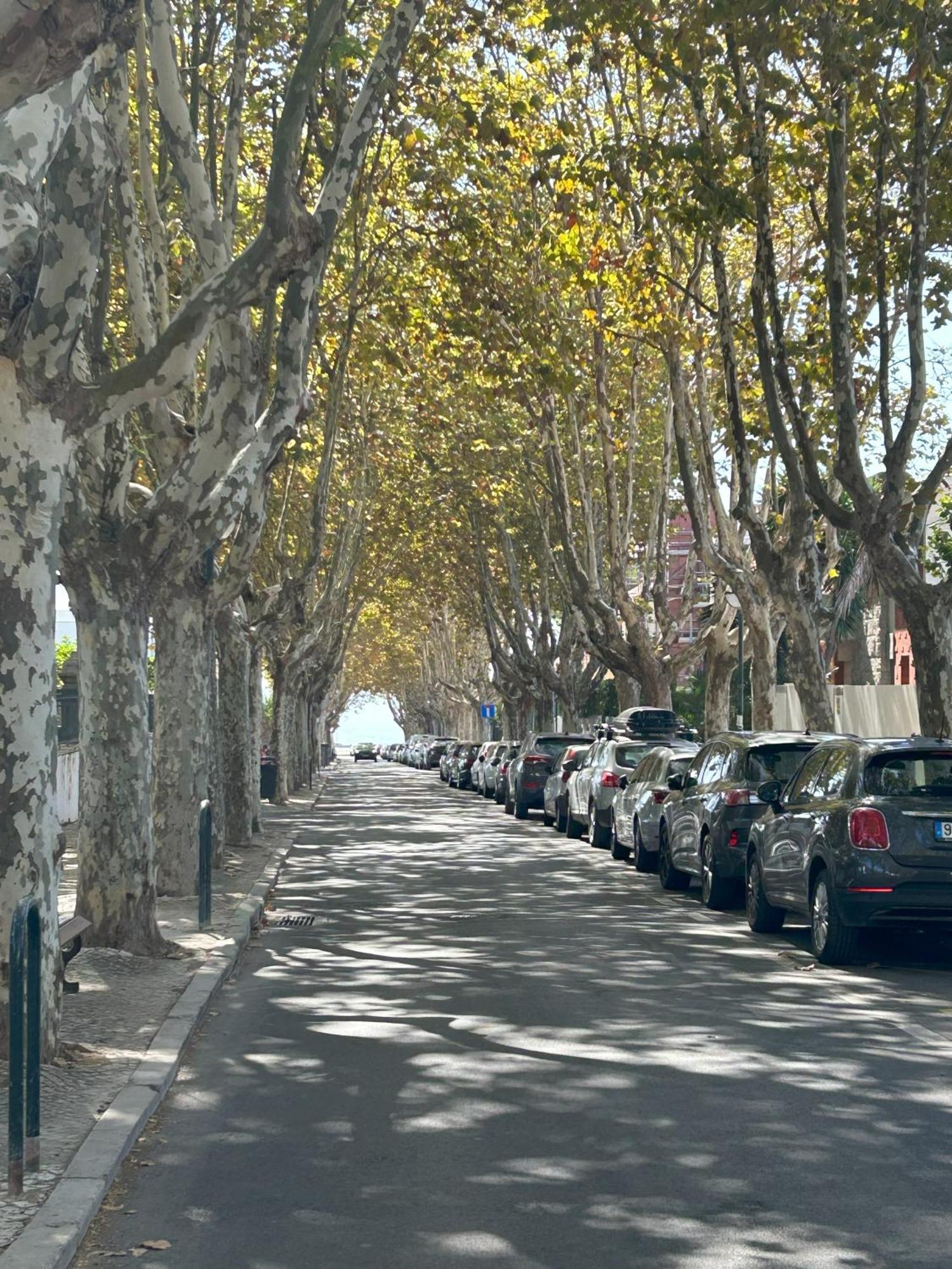 Mar Verde - Parede-Cascais Exteriör bild